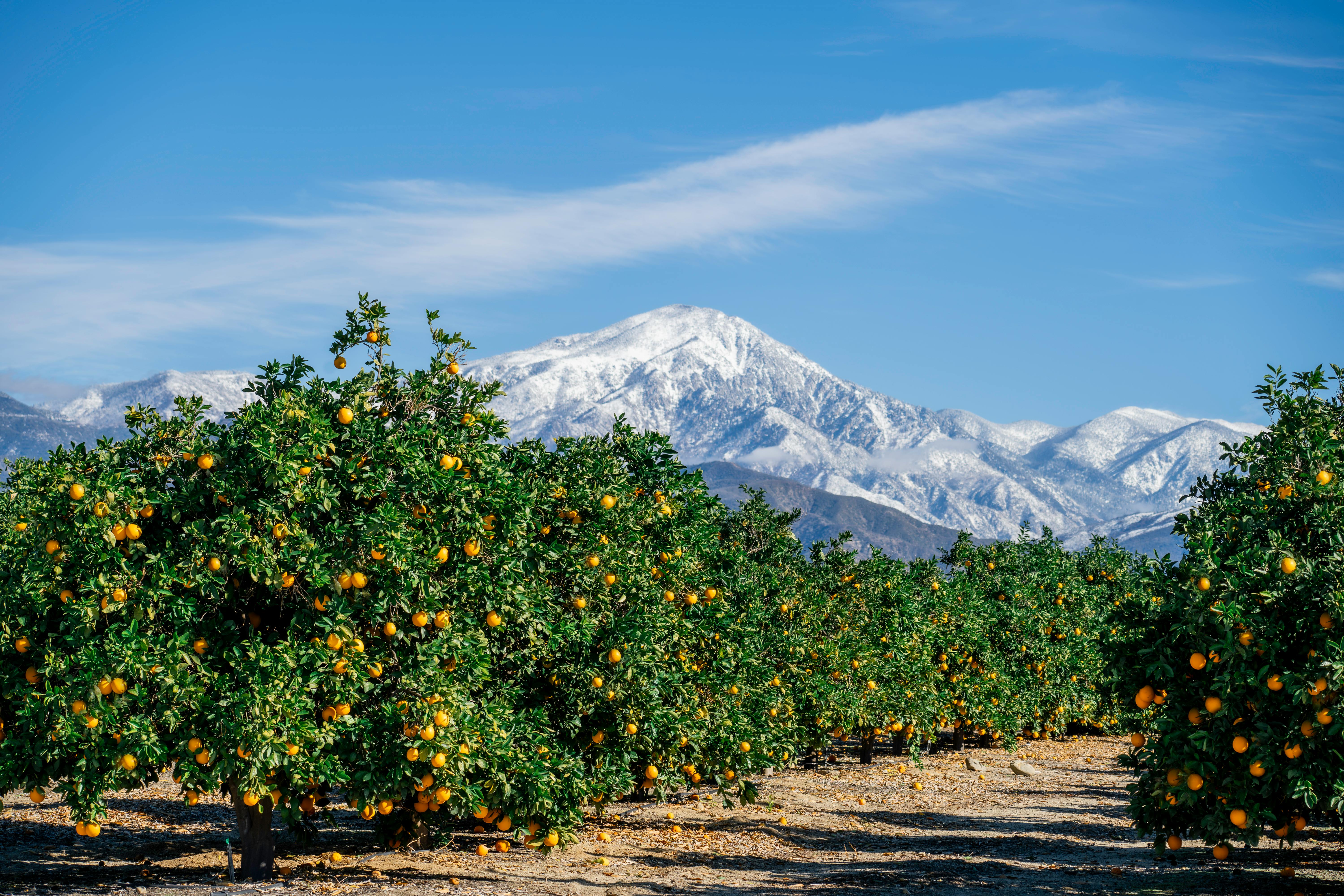 Temecula